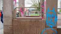 Council 'very disappointed' after graffiti scrawled on structures at Cork's Bishop Lucey Park