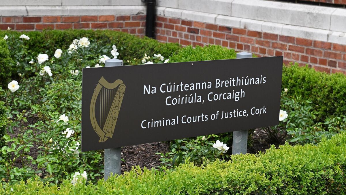 Cork woman deported from LA by ICE has case adjourned again