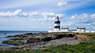 Rare plant discovery stalls works at world’s longest operational lighthouse in Wexford