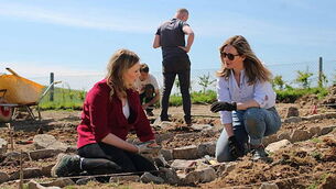 'We’ve been acting like colonisers’: New TG4 series rethinks the modern garden