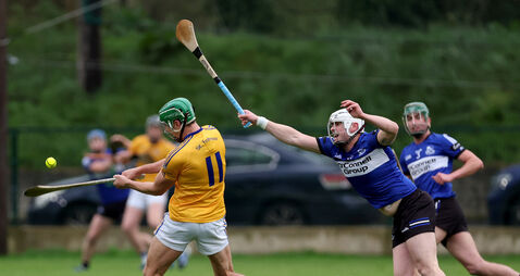 St Finbarr's hurlers off to a strong start in league as Sars beaten for second time at home
