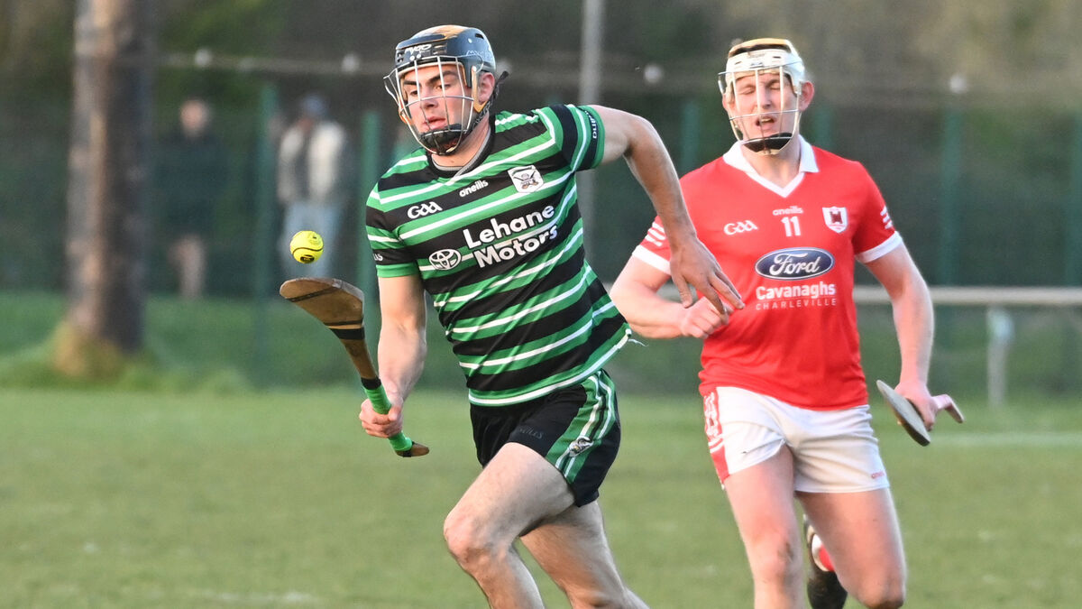 Work-rate and structure key to Douglas hurlers' strong start to Division 1 campaign