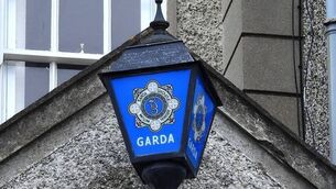 <p>Gardaí are now appealing to anyone who witnessed the incident to come forward.</p>