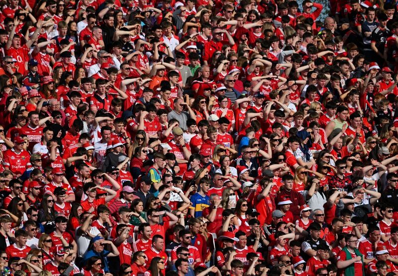 Cork supporters in full voice on Sunday. Picture: Daire Brennan/Sportsfile