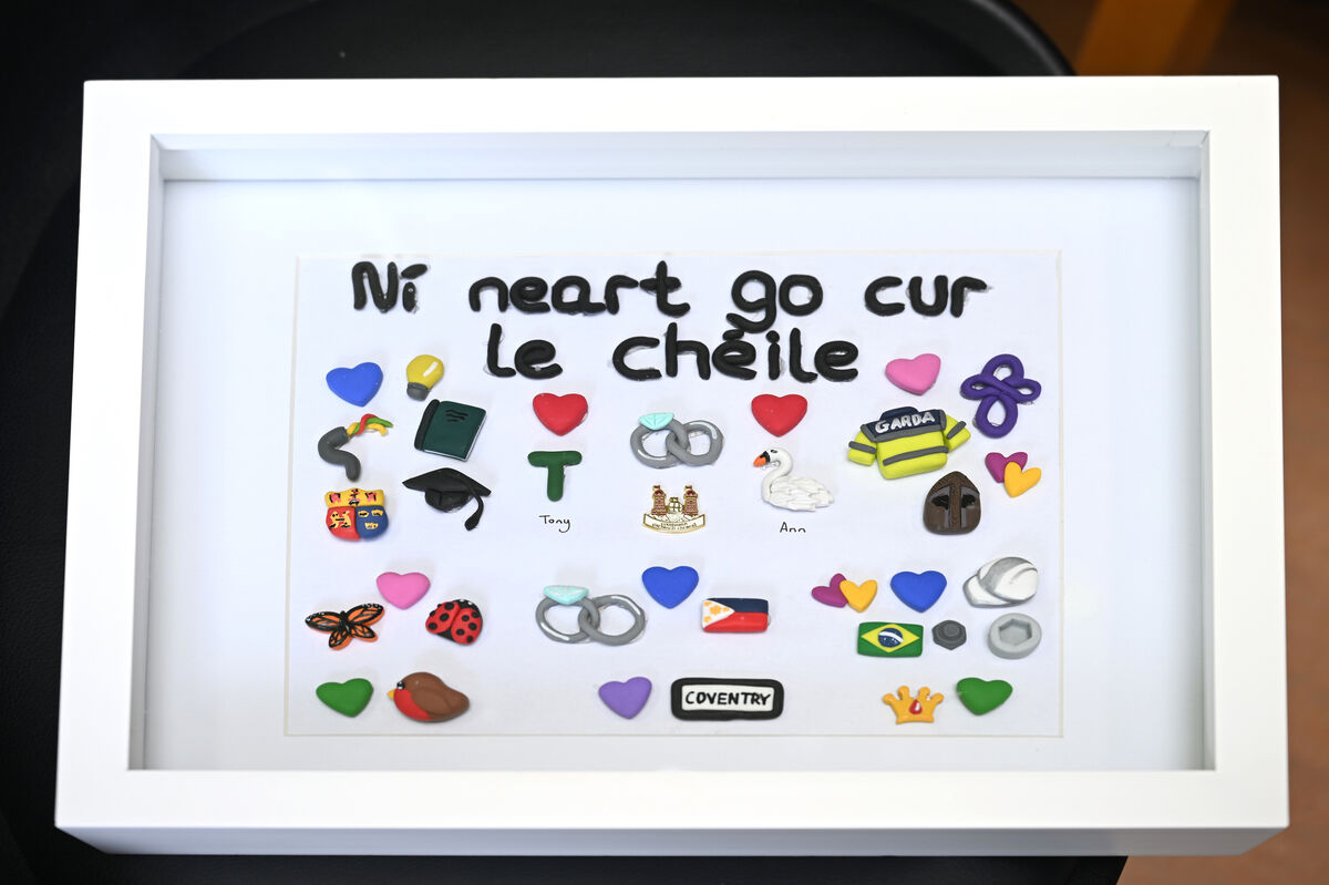 The artwork by fifth-year pupil Abbie Roche, from St Mary's High School in Midleton.