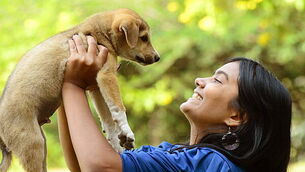 Teenage girl playing with puppy dog