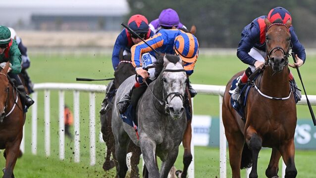 <p>Port Ferdinand (grey) and Ronan Whelan win the Irish Stallion Farms EBF Maiden from Bamako Beach.</p>