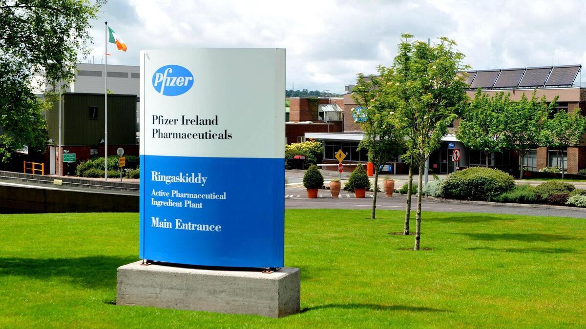 More than 100 roles to go at Pfizer's Ringaskiddy site amid redundancy plan