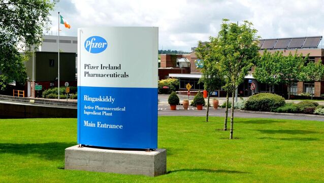 <p>The job losses represent approximately 12% of Pfizer’s 800-plus staff at its Ringaskiddy site. Picture: Dan Linehan</p>