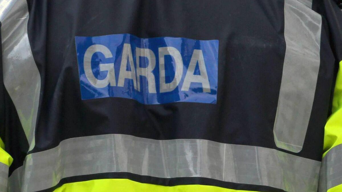 Drunk man verbally abused garda in Cork city