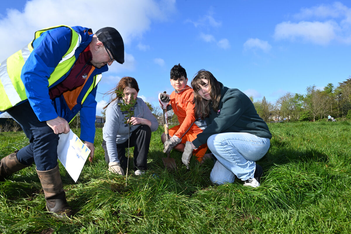  Willie O'Brien with Monica, Nathan and Leah Ryan planting an oak tree on Saturday morning. Picture: Larry Cummins
