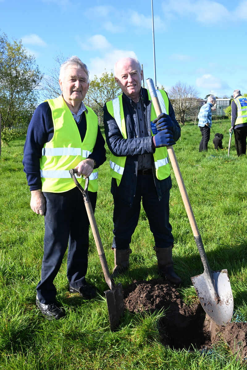 Donal Cashman and Tim O'Mahony at the planting event. Picture: Larry Cummins