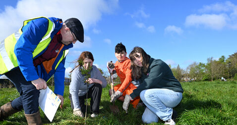 In pictures: Cork Rotary Club plants trees to mark anniversary