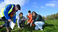 In pictures: Cork Rotary Club plants trees to mark anniversary