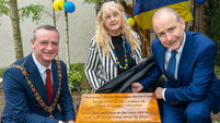 Plaque honouring Chornobyl victims unveiled in Cork city centre park