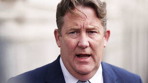 Government working on ’round of grants’ for specific businesses, Minister says