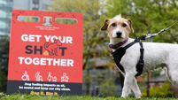 Cork council distributes more than 14,000 dog poop bags in campaign's first week