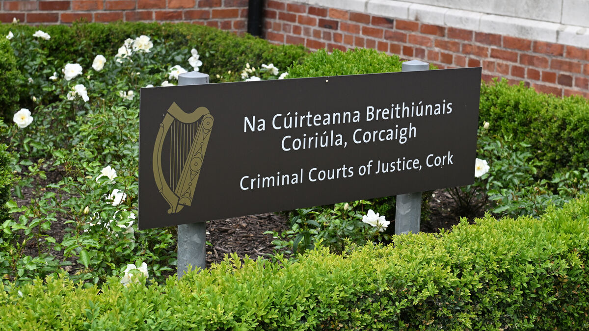 Signed pleas of guilty entered in Cork carjacking case
