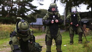 United Nations Disengagement Observation Force training