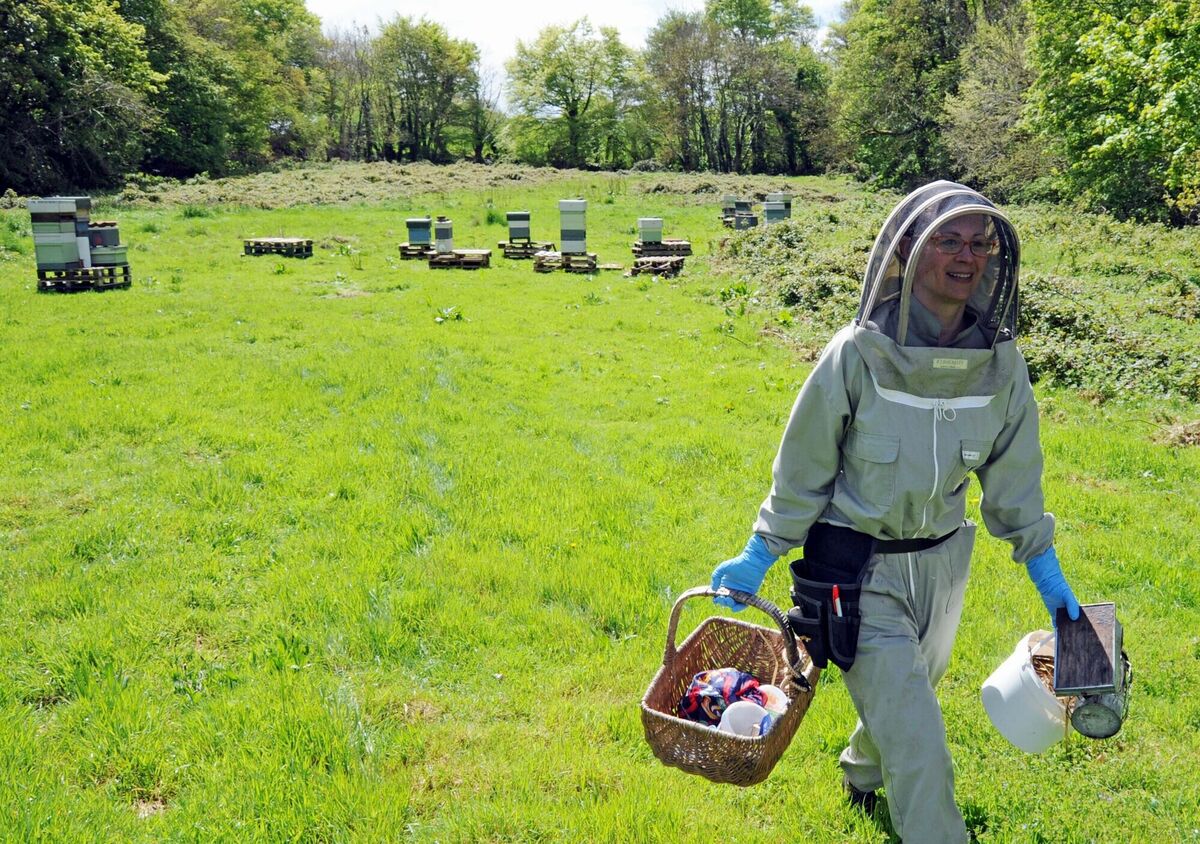 Hanna Bäckmo leaving the apiary. Picture: Denis Minihane.