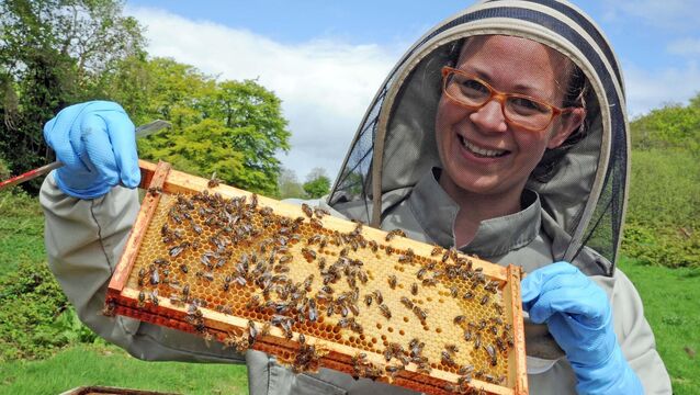 <p>Hanna Bäckmo holding a frame from a hive at the apiary. Picture: Denis Minihane.</p>