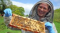 WoW Bites: 'I loved my old business, but I love bees more – and I get peaches'