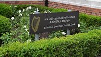 Brother tells trial that West Cork stabbing scene was like 'a horror movie'