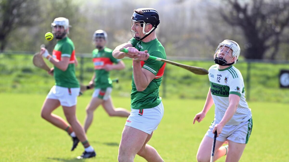 Carrigtwohill hurler Seán Walsh soars to top of Cork Division 1 scoring charts