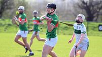 Carrigtwohill hurler Seán Walsh soars to top of Cork Division 1 scoring charts