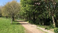 Survey of Cork's Beaumont Park to assess needs for repairs