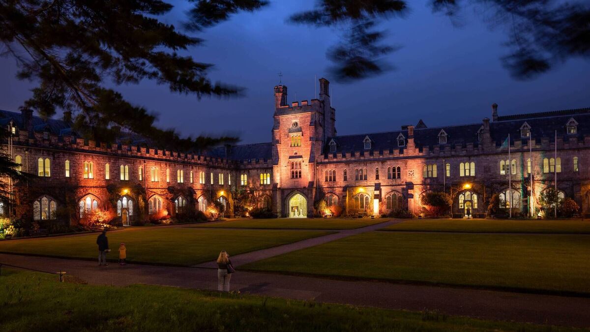Cyber attack hits Cork universities as Canvas learning platform goes offline