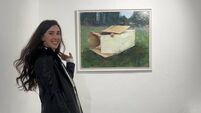 Cork artist opens solo show at Laneway gallery in Shandon