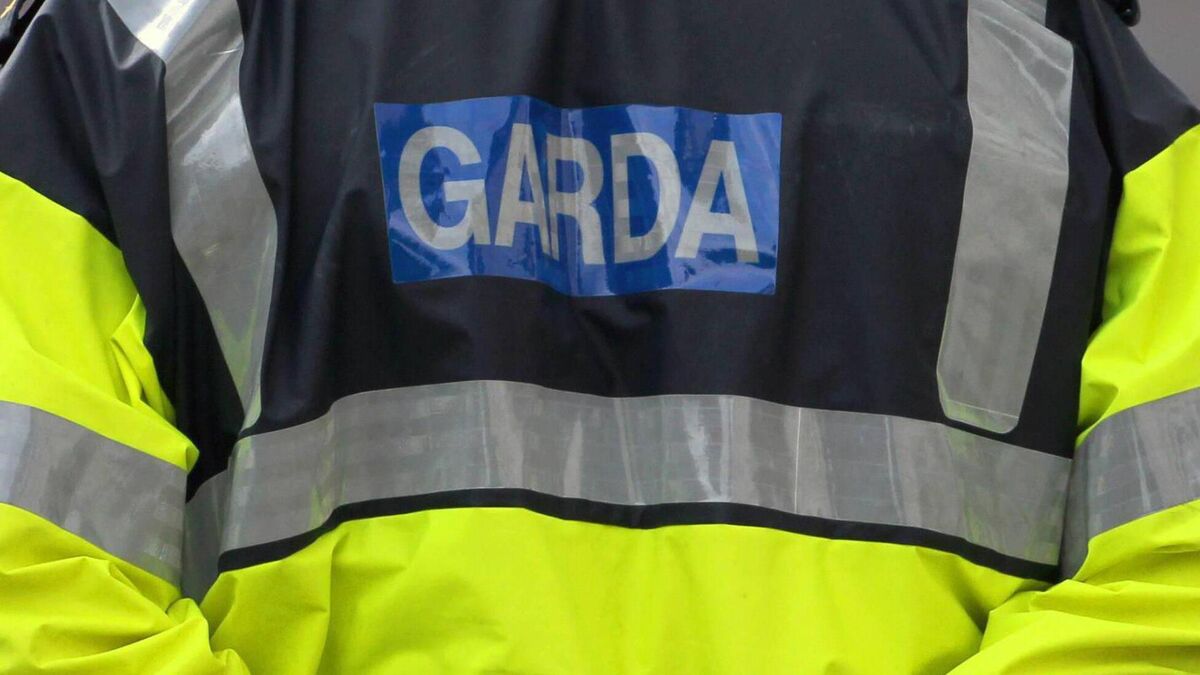 Call for more gardaí for Cork city suburbs