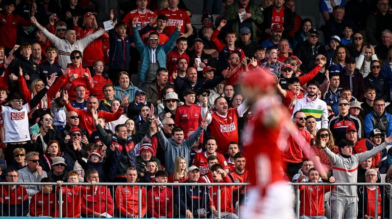 Cork supporters at Azzurri Walsh Park. Picture: Seb Daly/Sportsfile