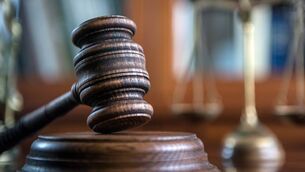 <p>Sentencing could not be reached so Judge Helen Boyle adjourned the case for that purpose until June.</p>