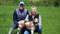 Zodiac Jack delivers in Michael Heffernan Memorial Senior Draghunt