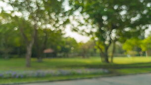 Blurred view of a park, pond, trees and cloudless sky in the morning