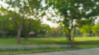 Blurred view of a park, pond, trees and cloudless sky in the morning