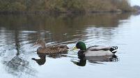 Public meeting to focus on quality of river water across East Cork  