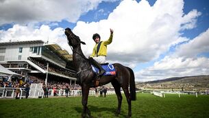 <p>Cork jockey Michael O'Sullivan celebrating on Marine Nationale after winning the Sky Bet Supreme Novices' Hurdle in Cheltenham. Picture: Harry Murphy/Sportsfile.</p>