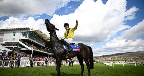 Cheltenham Racing Festival - Day One