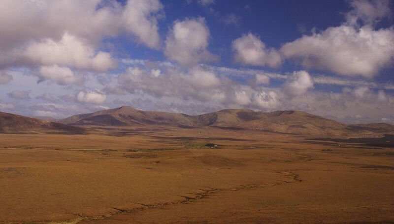 Wild Nephin National Park is hosting a native trees workshop, with talks about Ireland’s Birds of Prey and a nature treasure hunt for families during National Biodiversity Week. 