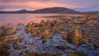 Step into nature during National Biodiversity Week