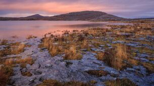 <p>Mullagh More, Burren National Park, The Burren, Co Clare. Discover the natural beauty of Ireland during National Biodiversity Week from 15th to 24th May. </p>
