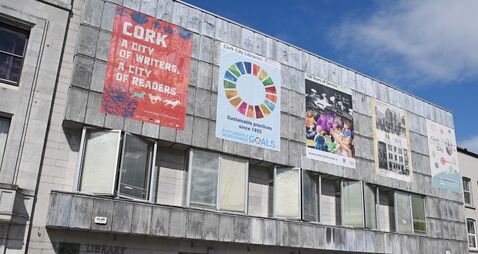 Cork councillors give green light for new rules to tighten security at libraries