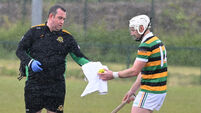 Patrick Horgan and Dean Brosnan fire Glen Rovers to league win over Douglas
