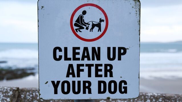 <p>New legislation set to come into forced in September will see on-the-spot-fines for dog fouling and littering  increase from €150 to €250.</p>