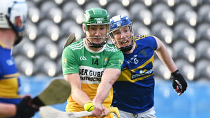 <p>Cork panellist Brian Roche scored three points as he played the first half of Bride Rovers' win over Ballymartle. Picture: Eddie O'Hare</p>