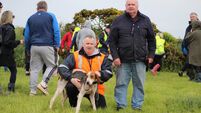 Knockane Jack wins the Sean and Monica Walsh Memorial Senior Draghunt 