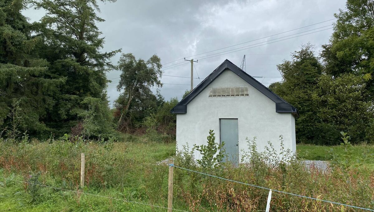 Safeguarding Ireland's biodiversity: Artificial bat roost at the Oldstreet 400kV substation in Ballynaheskeragh, Co Galway. Safeguarding Ireland's biodiversity: Artificial bat roost at the Oldstreet 400kV substation in Ballynaheskeragh, Co Galway.